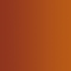 Vallejo Xpress Color : Martian Orange
