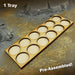 LITKO 6x2 Formation Tray for 25mm Circle Bases Compatible with Lion Rampant-Movement Trays-LITKO Game Accessories