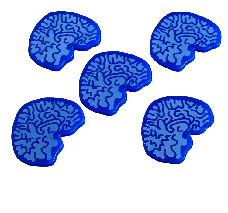 LITKO Big Brain Tokens (5) (NEW! Multiple Colors in One Listing)