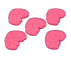 LITKO Big Brain Tokens (5) (NEW! Multiple Colors in One Listing)