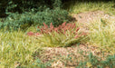 Woodland Scenics Plant Hues-Flock and Basing Materials-LITKO Game Accessories
