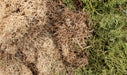 All Game Terrain Winter Mix Ez Bushes-Flock and Basing Materials-LITKO Game Accessories