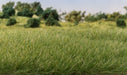 All Game Terrain Static Grass Medium Green 7mm - LITKO Game Accessories